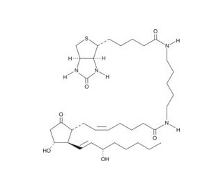Prostaglandin E2-biotinamide (CAS 363-24-6 (unconjugated)) - chemical structure image