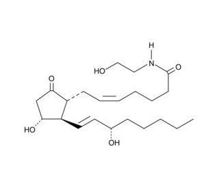 Prostaglandin E2 Ethanolamide (CAS 194935-38-1) - chemical structure image