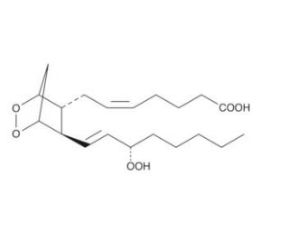 Prostaglandin G2 (CAS 51982-36-6) - chemical structure image