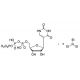 Pseudouridine 5′-Triphosphate Triethylamine Salt (CAS 1175-34-4 (free acid)) - chemical structure image