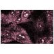 PSK2 Antibody (22) - Immunofluorescence - Image 60700 