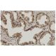 PSMD5 Antibody (35-K) - Immunohistochemistry - Image 36038