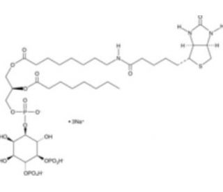 PtdIns-(4,5)-P2-biotinamide (sodium salt) - chemical structure image