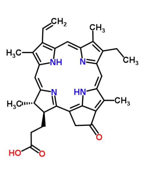 Pyropheophorbide-a | CAS 24533-72-0 | SCBT - Santa Cruz Biotechnology