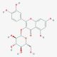 Quercetin 3-β-D-glucoside (CAS 21637-25-2) - chemical structure image