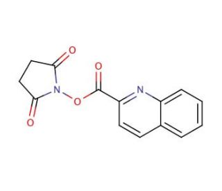 Quinaldic acid succinimide ester (CAS 136465-99-1) - chemical structure image