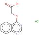 (Quinazolin-4-yloxy)-acetic acid hydrochloride (CAS 842959-64-2) - chemical structure image
