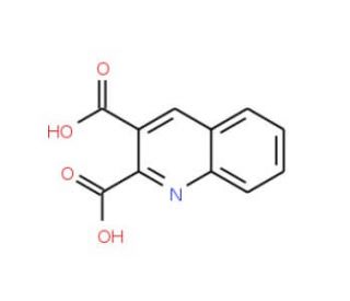 Quinoline-2,3-dicarboxylic acid (CAS 643-38-9) - chemical structure image