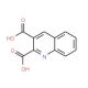 Quinoline-2,3-dicarboxylic acid (CAS 643-38-9) - chemical structure image