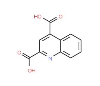 Quinoline-2,4-dicarboxylic acid (CAS 5323-57-9) - chemical structure image