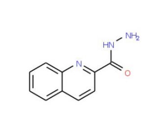 quinoline-2-carbohydrazide (CAS 5382-44-5) - chemical structure image