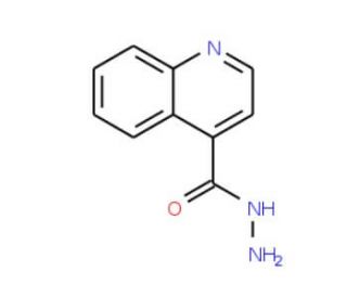 Quinoline-4-carboxylic acid hydrazide (CAS 29620-62-0) - chemical structure image