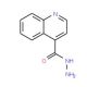 Quinoline-4-carboxylic acid hydrazide (CAS 29620-62-0) - chemical structure image