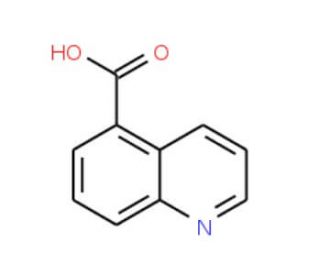 Quinoline-5-carboxylic acid (CAS 7250-53-5) - chemical structure image