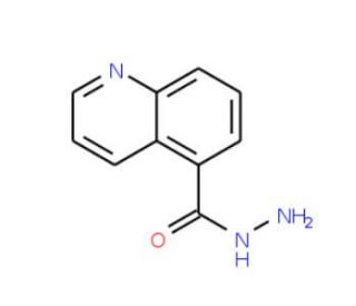 Quinoline-5-carboxylic acid hydrazide (CAS 96541-83-2) - chemical structure image