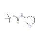 (R)-3-Boc-aminopiperidine (CAS 309956-78-3) - chemical structure image