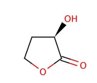 (R)-(&plus;)-&alpha;-Hydroxy-&gamma;-butyrolactone (CAS 56881-90-4) - chemical structure image
