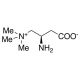 (R)-Amino Carnitine (CAS 98063-21-9) - chemical structure image