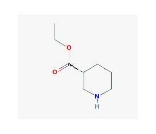 (R)-Ethyl piperidine-3-carboxylate (CAS 25137-01-3) - chemical structure image