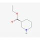 (R)-Ethyl piperidine-3-carboxylate (CAS 25137-01-3) - chemical structure image