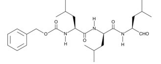 ⭐️たぁ r-mg-132-1211877-36-9-
