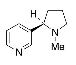 R-(&plus;)-Nicotine (CAS 25162-00-9) - chemical structure image