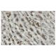 Rab 45 Antibody (SJ-12) - Immunohistochemistry - Image 35934