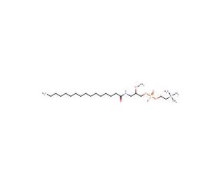 rac-2-Methoxy-3-hexadecanamido-1-propylphosphocholine (CAS 163751-35-7) - chemical structure image