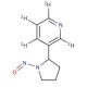 rac N′-Nitrosonornicotine-D4 (CAS 66148-19-4) - chemical structure image
