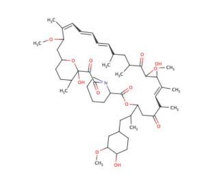 Rapamycin | CAS 53123-88-9 | SCBT - Santa Cruz Biotechnology