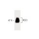 RCC1 Antibody (9) - Western Blotting - Image 60430 