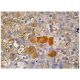 immunohistochemistry image from recommended Ret (C-3) monoclonal antibody replacement. Image 263031