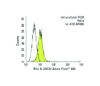 Rho A Antibody (26C4) - Flow Cytometry - Image 13096