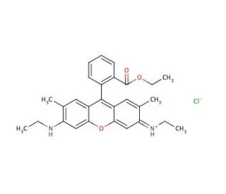 Rhodamine 6G (CAS 989-38-8) - chemical structure image 