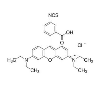 Rhodamine B isothiocyanate (CAS 36877-69-7) - chemical structure image