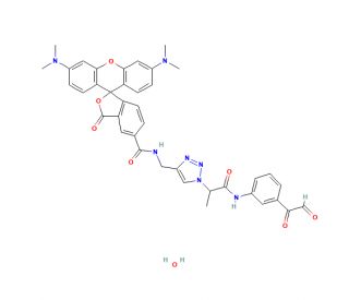 Rhodamine Phenylglyoxal (CAS 2309313-01-5) - chemical structure image