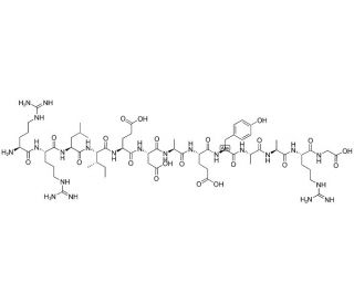 RR-SRC, Protein Tyrosine Kinase Substrate (CAS 81156-93-6) - chemical structure image