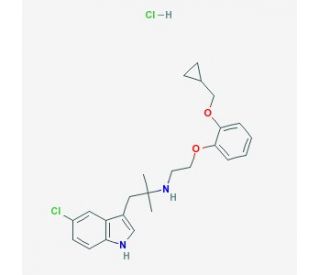 RS 17053 hydrochloride (CAS 169505-93-5) - chemical structure image