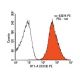 RT1-A Antibody (OX18) - Flow Cytometry - Image 13782