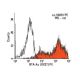 RT1-Ac Antibody (OX27) - Flow Cytometry - Image 13784