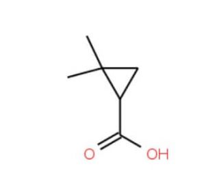 (S)-(&plus;)-2,2-Dimethylcyclopropanecarboxylic Acid (CAS 14590-53-5) - chemical structure image