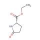 (S)-(+)-5-Ethylcarboxyl-2-pyrrolidinone (CAS 7149-65-7) - chemical structure image