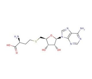 S-(5&prime;-Adenosyl)-L-homocysteine (CAS 979-92-0) - chemical structure image