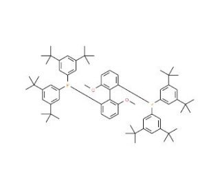 (S)-(6,6&prime;-Dimethoxybiphenyl-2,2&prime;-diyl)bis[bis(3,5-di-tert-butylphenyl)phosphine] (CAS 167709-31-1) - chemical structure image
