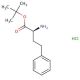 (S) alfa Aminobenzenebutanoic acid 1,1-dimethylethyl ester (CAS 83079-77-0) - chemical structure image