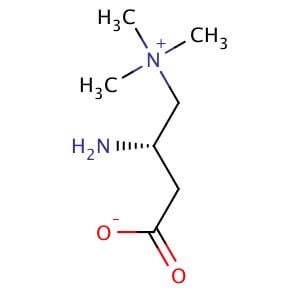 when to inject ipamorelin Ipamorelin Therapy Serving Miami, Coral Gables, & Pinecrest FL