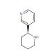 (S)-Anabasine (CAS 494-52-0) - chemical structure image