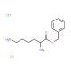 (S)-Benzyl 2,6-diamino-hexanoate 2HCl (CAS 16142-09-9) - chemical structure image