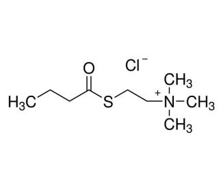 S-Butyrylthiocholine chloride (CAS 22026-63-7) - chemical structure image