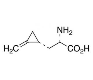 SHypoglycine A CAS 1263274083 SCBT Santa Cruz Biotechnology
